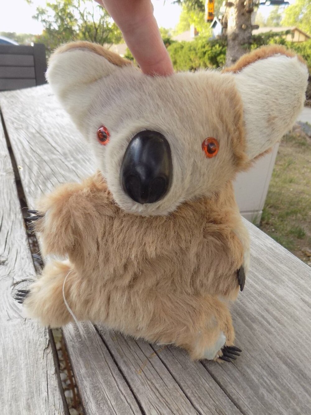 Koala Bear Real Fur Australian Orange Eyes  SOUVIONER * VINTAGE